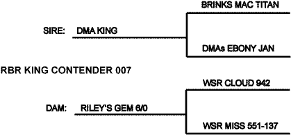 King Contender 84007 Pedigree