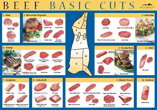 Basic Beef Cuts