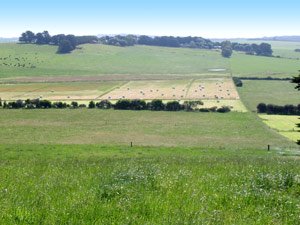 Farm views