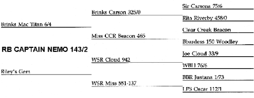 Captain Nemo Pedigree