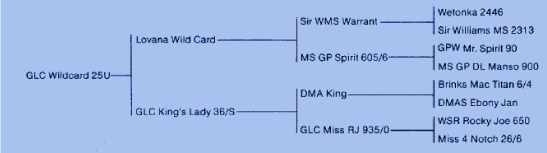 GLC Wildcard Pedigree