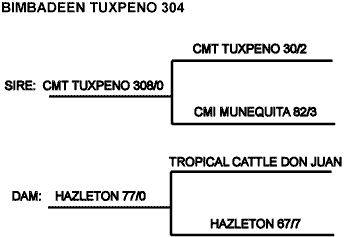 Tuxpeno 304 Pedigree